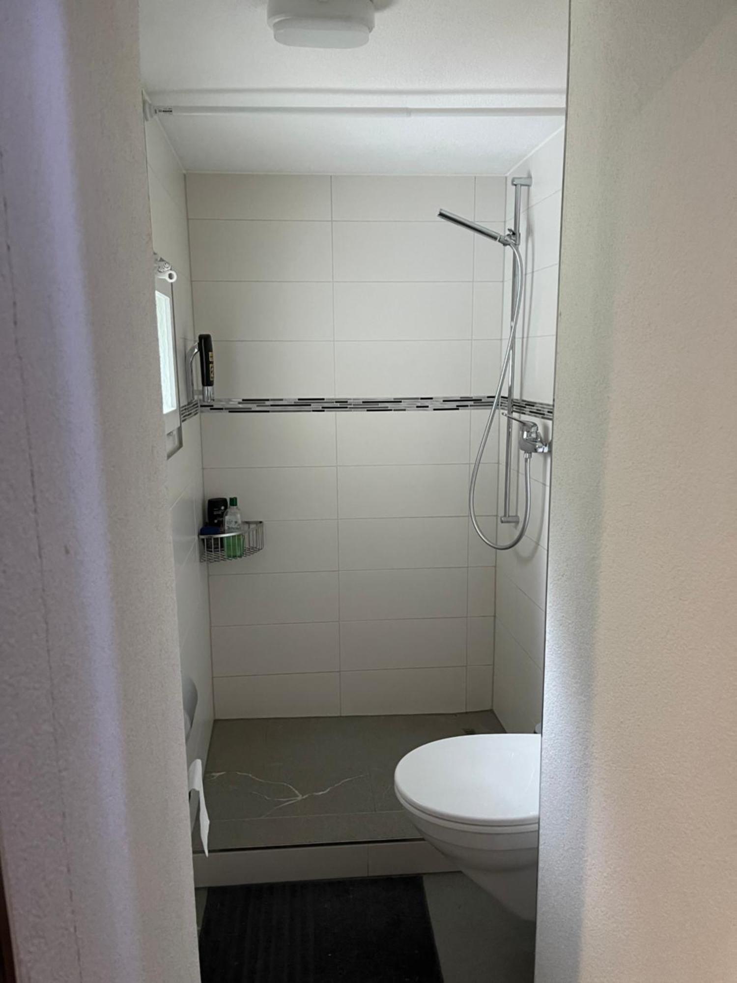 Haus Alpenhof Hotel Wassen Eksteriør billede